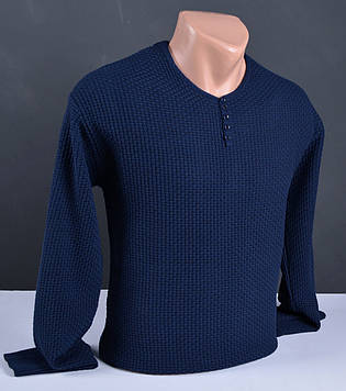 Чоловічий тонкий пуловер | Чоловічий светр Vip Stendo синій Туреччина 3082