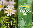 Велика акція на 70 товарів у березні 2021 року: 3+1, 4+1, шампуні, бальзами, BB-крем, зубні пасти