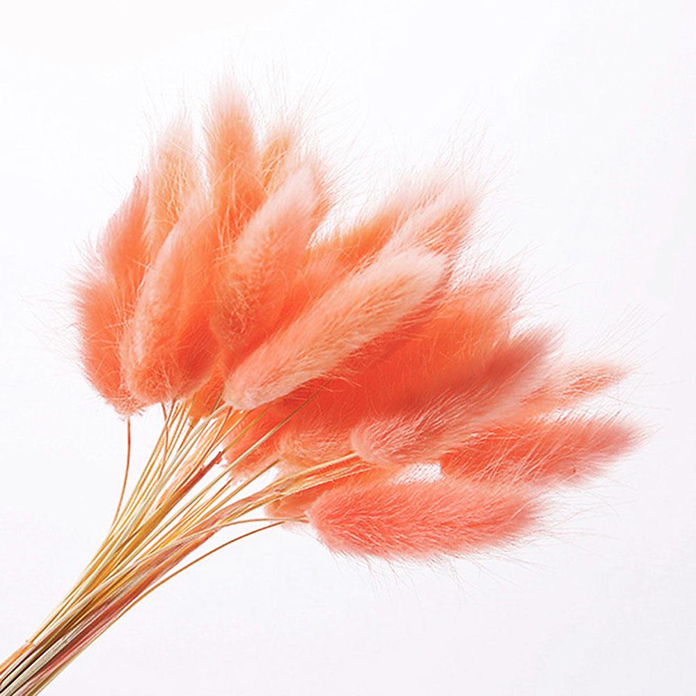 Лагурус оранжевий 55-70 см, 80гр (~ 110 шт), фото 1
