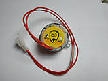 Мотор для лотка перевороту яєць 12 вольтів, фото 2