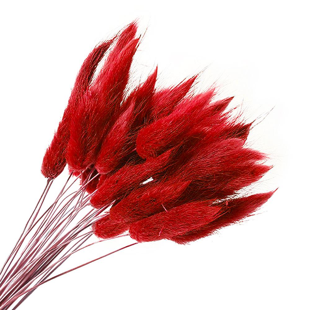 Лагурус червоний 55-70 см, 50гр (~ 70 шт), фото 1