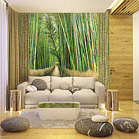 Фотообои природа "Бамбуковая роща"