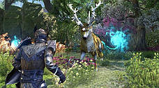 The Elder Scrolls Online: Blackwood – Digital collector's Edition Upgrade, фото 5