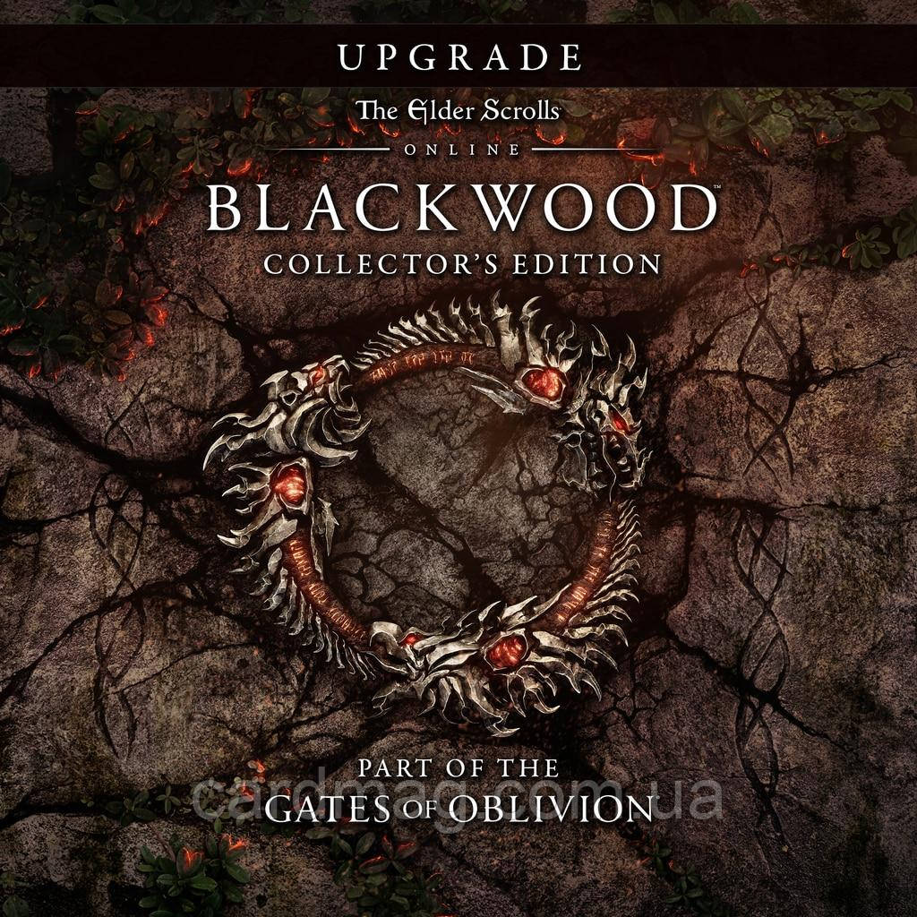The Elder Scrolls Online: Blackwood – Digital collector's Edition Upgrade