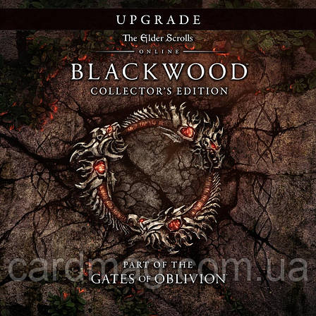 The Elder Scrolls Online: Blackwood – Digital collector's Edition Upgrade, фото 1