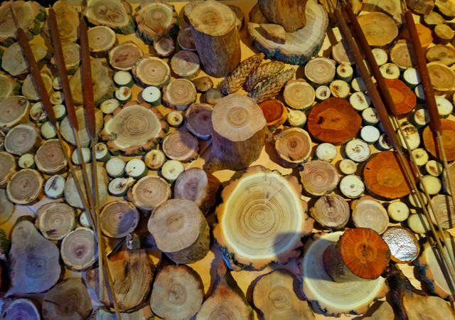 Поделки из спилов деревьев (93 фото): украшения для интерьера дома и дачного участка