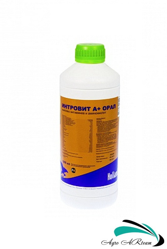 Інтровіт А+Орал , 1 л, Інтерхімі (Нідерланди)