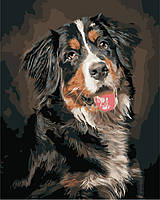 Картина по номерам Портрет собаки, 40х50 ArtStory (AS0883)