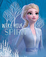 Постер плакат "Холодное Сердце 2 (Разбуди Свой Дух Эльза) / Frozen 2 (Wake Your Spirit Elsa)" 40x50см