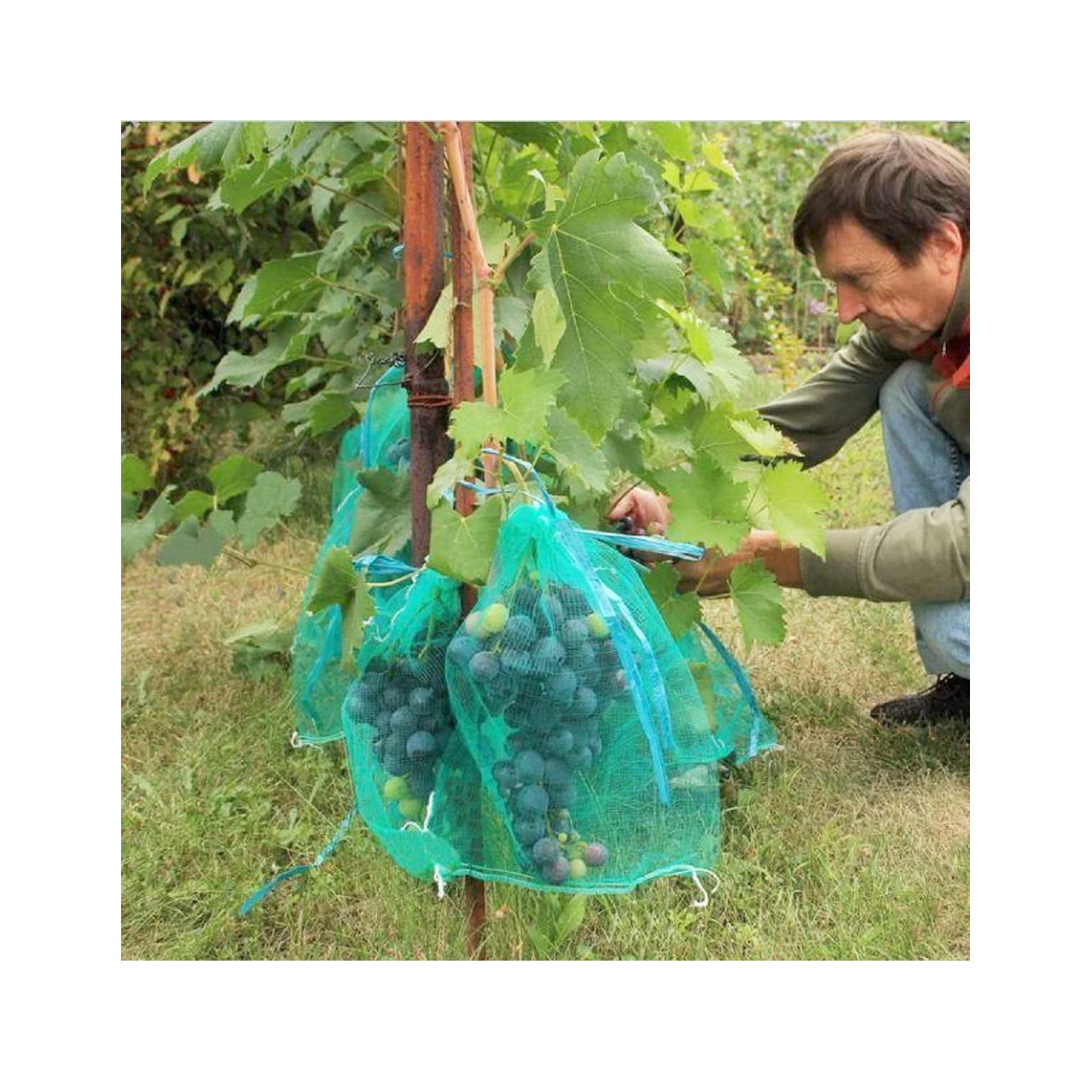 Сетка для винограда от ос (2 кг) - фото 4 - id-p1333426853
