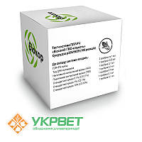 Тест-система ПЛР-РЧ «Biocore® ГМО-кількість» Кукурудза p35S/tNOS (100 реакцій)