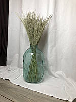 Просо прутьевидное (Panicum) (1.60грн от 40шт)(насыщенный зелёный цвет с серебр вкраплениями натур. цвет, 50см