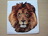 Наклейка пп звери Лев 135х142мм морда льва без ободка виниловая цветная на авто