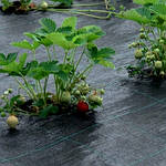 Агротканина AGROJUTEX