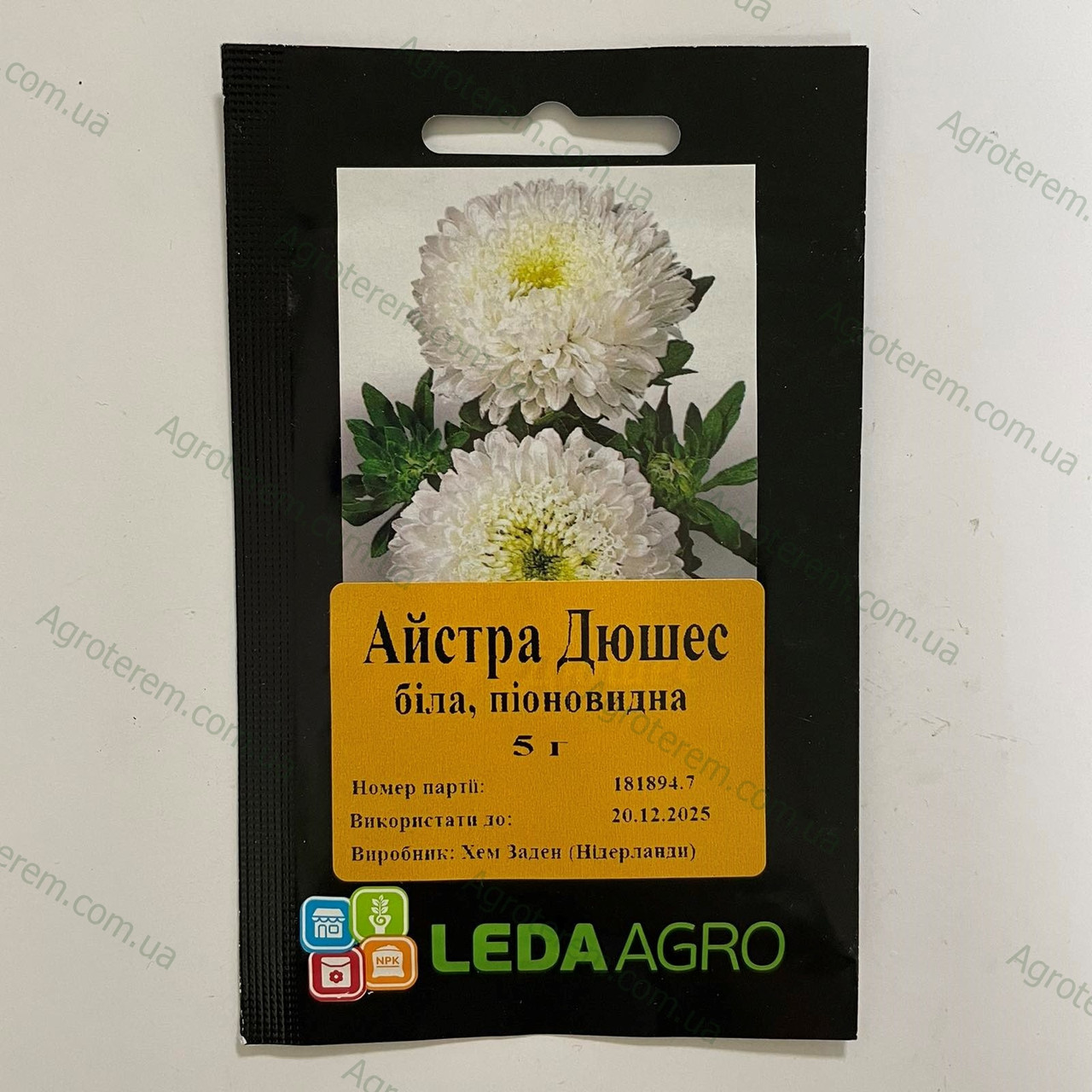 Леда Квіти айстра Дюшес (біла) 5г
