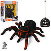 Робот павук на радіокеруванні Тарантул 781, фото 4