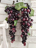 Виноград велике гроно h-30-35 cm, 3 кольора, фото 4