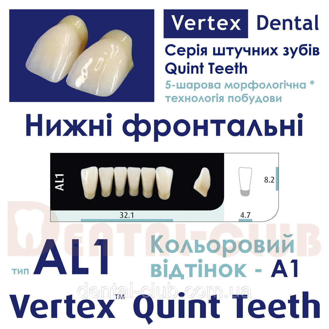 Зуби акрилові на планці п'ятому ятишарові шарові Vertex Quint (вертекс квінт), нижні фронтальні, тип зубів, фото 1