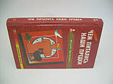 Мартинова Г.Л. Чим харчувалися наші предки (б/у)., фото 2