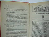 Мартинова Г.Л. Чим харчувалися наші предки (б/у)., фото 5