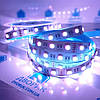 Світлодіодна стрічка (5 метрів) RGBW 60 led/m 18W/м SMD 5050 IP20 негерметична, фото 4