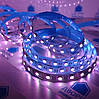 Світлодіодна стрічка (5 метрів) RGBW 60 led/m 18W/м SMD 5050 IP20 негерметична, фото 8