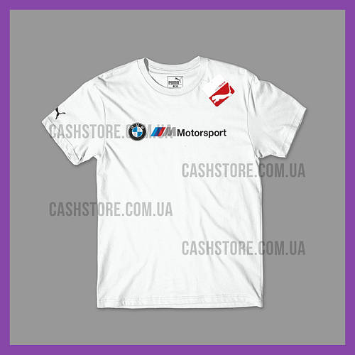 Puma motorsport 2019 top