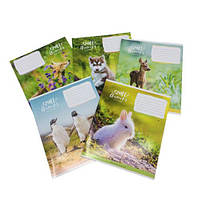 Зошит 12 аркушів в лінійку Школярик