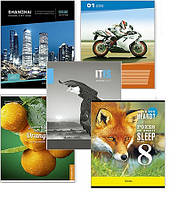 Зошит 24 аркуші в клітинку Школярик