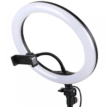 Кільцева світлодіодна led-лампа Ring Fill Light ZD666, Селфі-кільце для візажиста, підсвітка для селфі 26 см, фото 3