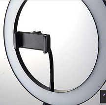 Кільцева світлодіодна led-лампа Ring Fill Light ZD666, Селфі-кільце для візажиста, підсвітка для селфі 26 см, фото 3