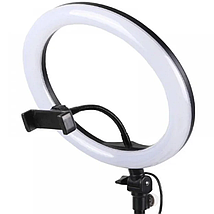 Кільцева лампа зі штативом Ring Fill Light ZD666, Селфі-кільце для візажиста, Світлодіодна led лампа 26 см, фото 3