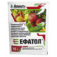 Фунгицид Эфатол 10 г, Adiant