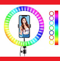 Кільцева LED-лампа RGB MJ38 38 см 220 V 1 кріп.тел USB + пульт