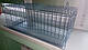 Клітка для перепелів на 10-15 голів, фото 3