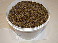 Подмор пчелиный сухой, 1 кг опт