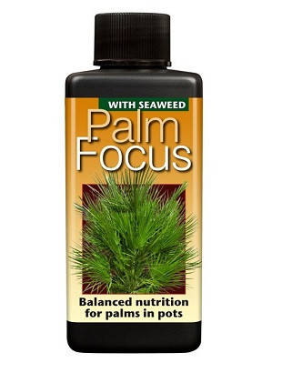 Добриво для пальм Palm Focus 100 мл, фото 1