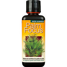 Добриво для пальм Palm Focus 500 мл