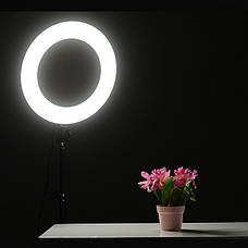 Кільцева LED лампа AL-360 36см 220V 1 крепл.тел + пульт, фото 4