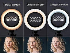Кільцева LED-лампа AL-390 39 см 220 V 1 кріп.тел. + пульт, фото 5