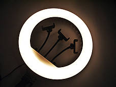 Кільцева LED лампа RL-14 36см 220V 1 крепл.тел. + пульт, фото 5