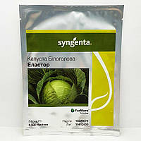 Капуста белокочанная Еластор F1 / Elastor F1 2500 семян (Syngenta)