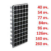 Касети для розсади (Україна): 40,77,84,96,126,160,260 осередків