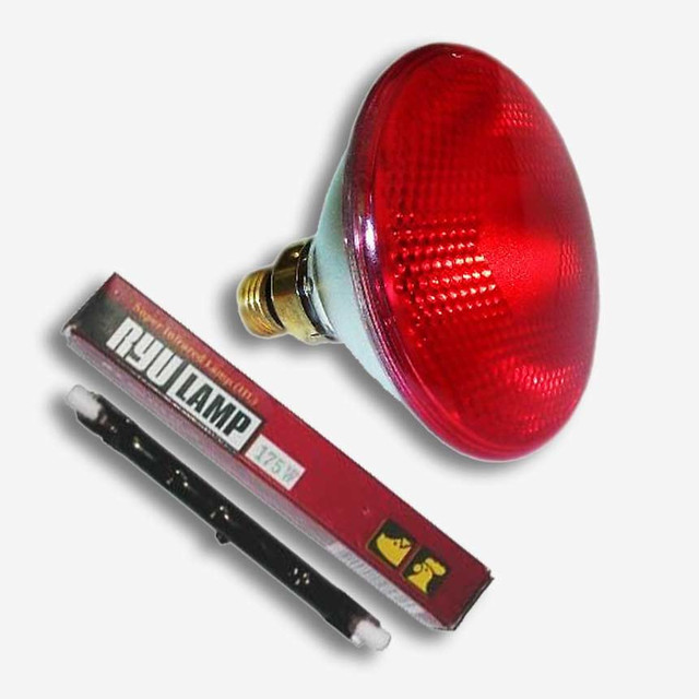 інфрачервоні лампи для обігріву свиней, інфрачервоні лампи купити, замовити інфрачервоні лампи в Україні