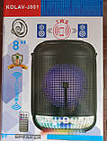 Портативна колонка Ailiang KOLAV-J801 (FM/USB/Bluetooth), фото 8