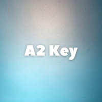 A2 Key