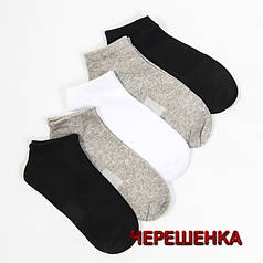 Чоловічі шкарпетки короткі Nicen (10 пар) 41-47 №F552