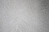 Декоративна штукатурка з ефектом бетону Elf Decor Toscana White 15кг, фото 3