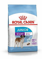 Сухой корм для щенков гиганских пород (от 8 до 18/24 мес) Royal Canin Giant Junior 15кг