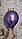 Куля повітряна 10 дюймів (25 см) ХРОМ ФІОЛЕТОВИЙ, фото 2